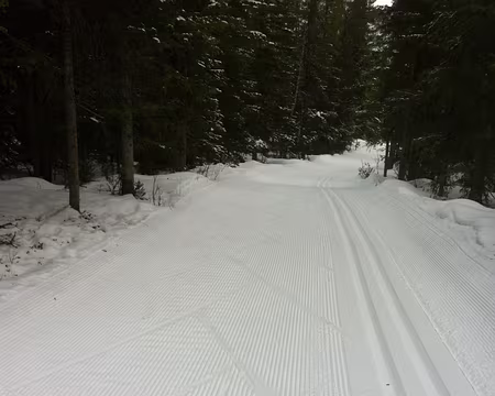 PXL051 Jeudi 25 février 2016 : Seule sur la piste, j'observe mes traces.