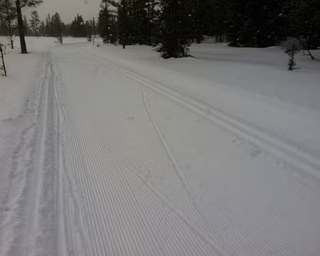 PXL058 Encore mes traces : cette fois-ci, je suis en 