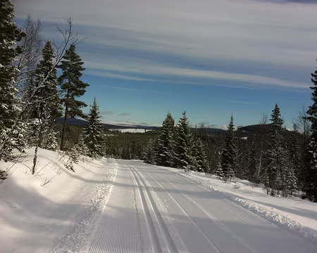 PXL070 Je ne me lasse pas de ces paysages et je 
