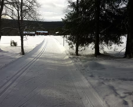PXL080 Samedi 27 février 2016 : notre dernière demi-journée sur les pistes de Funäsdalen.