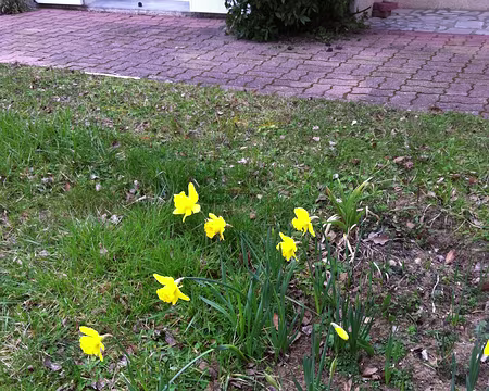 PXL093 Plus tard : retour au bercail. Serait-ce le printemps ?