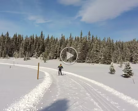 V002 Ici, c'est JL. qui travaille son 1-temps.