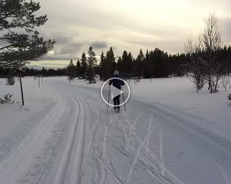 V006 Et à nouveau du 1-temps : je ne m'en lasse pas !’