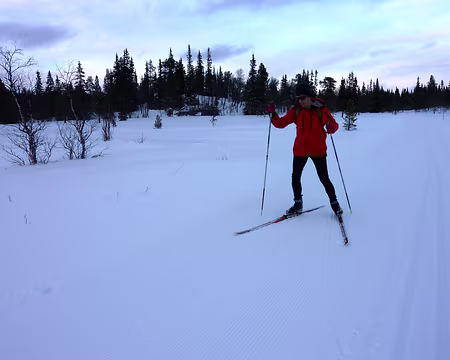 2016-02 funäsdalen 09 Une petite boucle vers Bruksvallarna