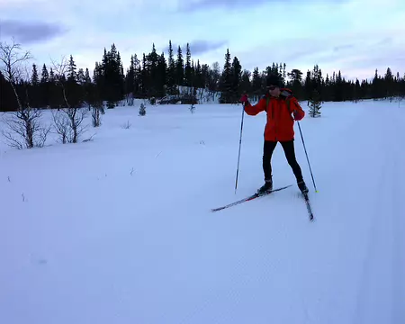 2016-02 funäsdalen 09 Une petite boucle vers Bruksvallarna