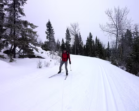 2016-02 funäsdalen 13 Retour de Tännäs
