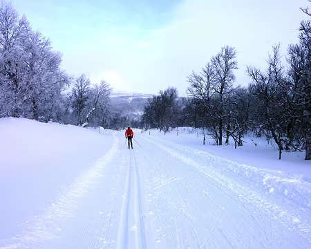 2016-02 funäsdalen 16 Fabuleuse piste entre Bruksvallarna et Ramundberget