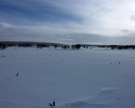 2016-02 funäsdalen 17 Fabuleuse piste entre Bruksvallarna et Ramundberget