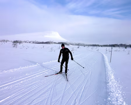 2016-02 funäsdalen 18 Sur fond de Mittåkläppen