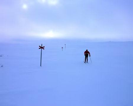 2016-02 funäsdalen 22 Les poteaux sont les bienvenus