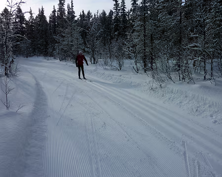 2016-02 funäsdalen 36 Piste menant à Bruksvallarna