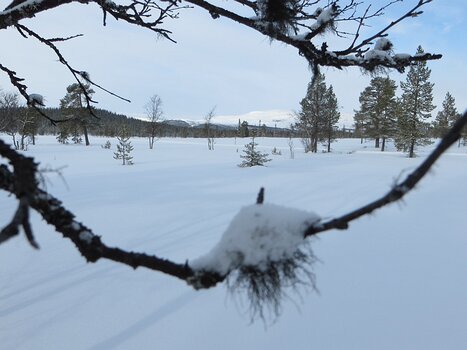 Jean-Louis Jean-Louis M, détail sortie