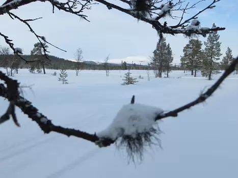 Jean-Louis Jean-Louis M, détail sortie