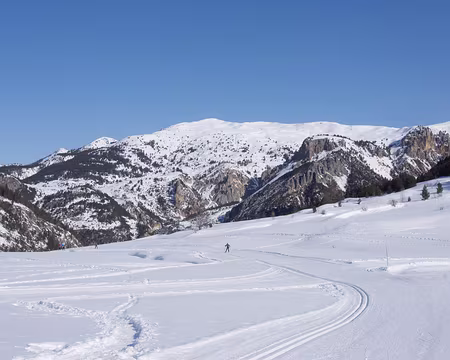 P3121142 Nous partons dans l’autre direction,