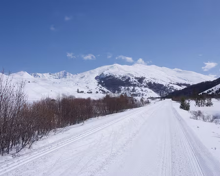 P3121204 A nous les grands espaces !