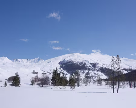 P3121208 Un petit air de pays nordique !