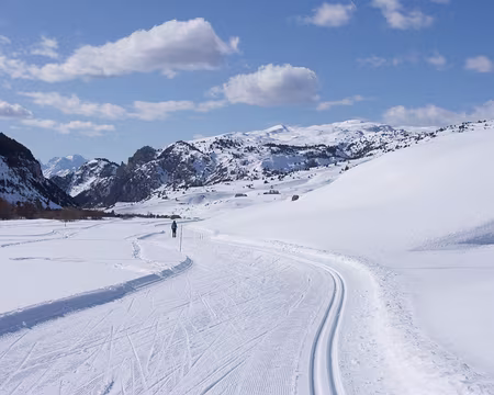 P3121283 Vue sur le Mont Pelvoux