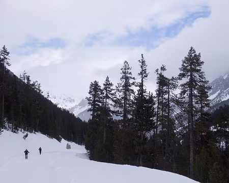 P3131357 La route du col d’Izoard est damée pour les piétons et pour les skieurs de fond, avec une séparation entre les deux