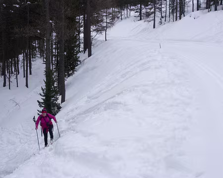 P3131359 Avec des peaux de phoque (artificielles) on peut prendre des raccourcis plus ou moins raides