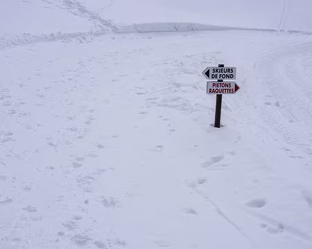 P3131367 Visiblement les piétons ne savent pas lire ;-(