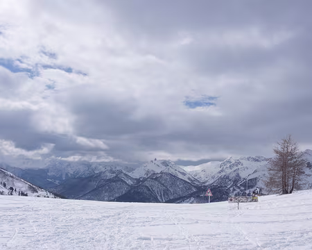 P3131379 Le Queyras vu du Col d’Izoard