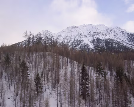 P3131457 Crête de Château Jouan au dessus de Montgenèvre