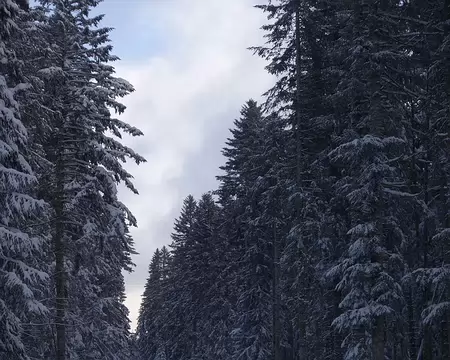 2017-CAF17-F09-skiAuberson07