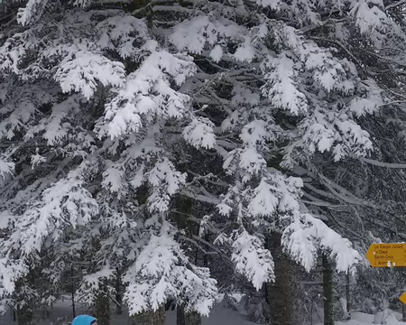 2017-CAF17-F09-skiAuberson14