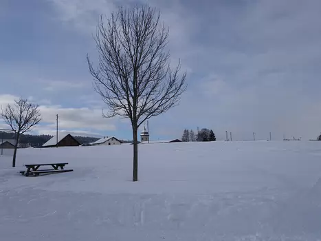 Jérôme Jérôme D, détail sortie