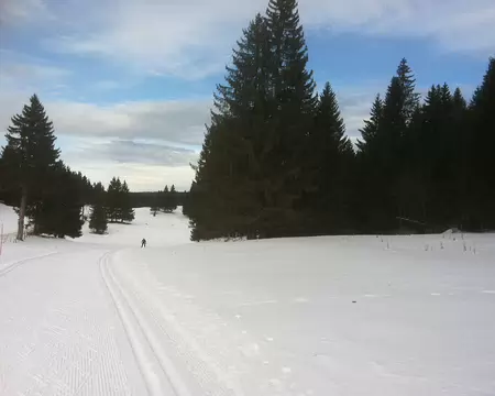 2 Doux et paisibles,