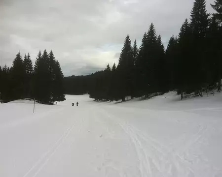 3 Paisibles et doux comme je les aime.