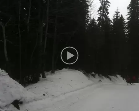 6 Exercice de patinage paisible et doux