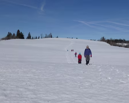 P1200651 On pourrait dire que c'est skiable en fait !