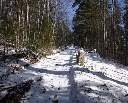 P1200667 Nous préférons la ligne frontière et ses bornes, au soleil
