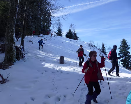 P1200671 Les joies de la raquette sans raquette, surtout en descente ...