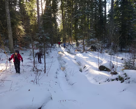 P1200690 Retour vers la France par la taïga