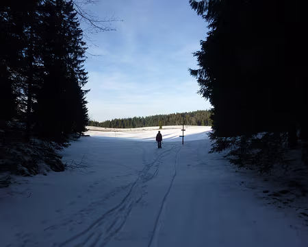 P1200692 La France !