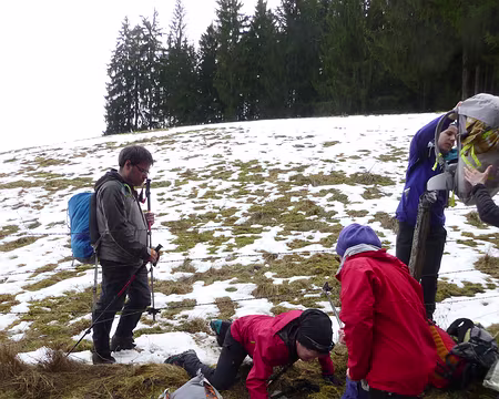 P1200732 Séquence barbelés