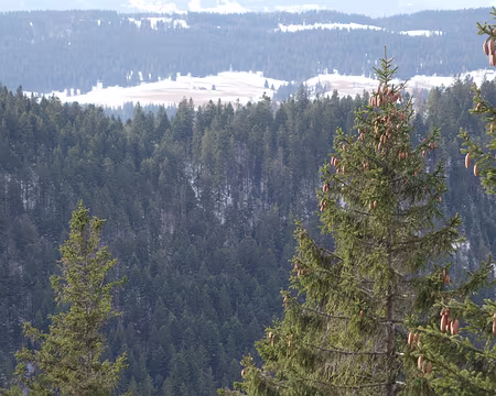 2017-CAF17-F28-randoChateleu16