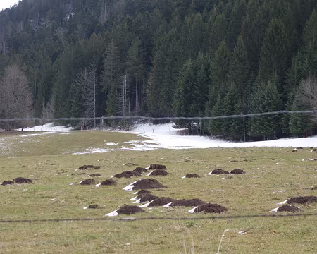 2017-CAF17-F28-randoChateleu26