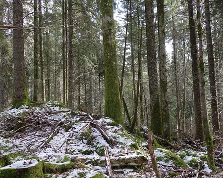 2017-CAF17-F28-randoChateleu27