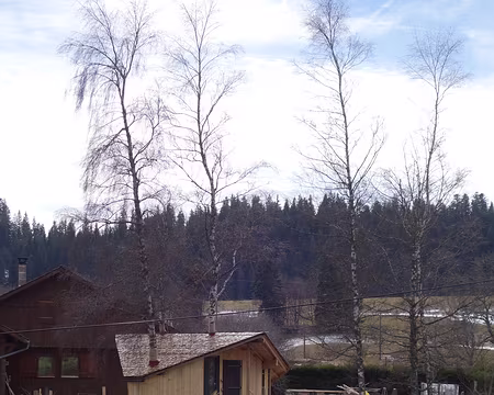 2017-CAF17-F28-randoChateleu34