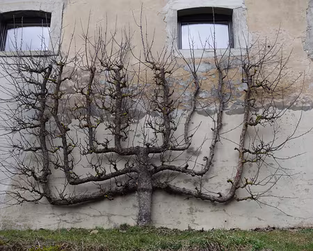 2017-CAF17-F28-randoChateleu42