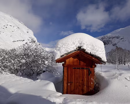 006. Cabanon déjà photographié au moins mille fois les années précédentes, mais il n'est jamais pareil....