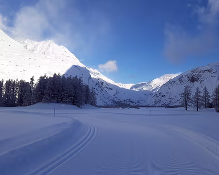 008 Le col de l'Iseran maintenant au soleil, et une piste magnifiquement damée : un régal !