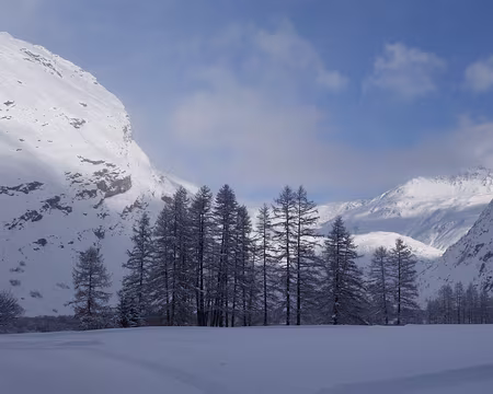 2017-18-F02-bessansSatingNiveau1-19