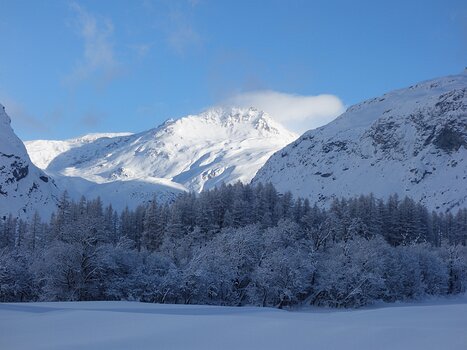 Samuel Samuel B, détail sortie