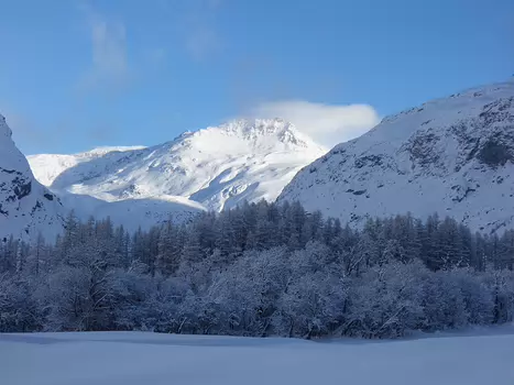 Samuel Samuel B, détail sortie