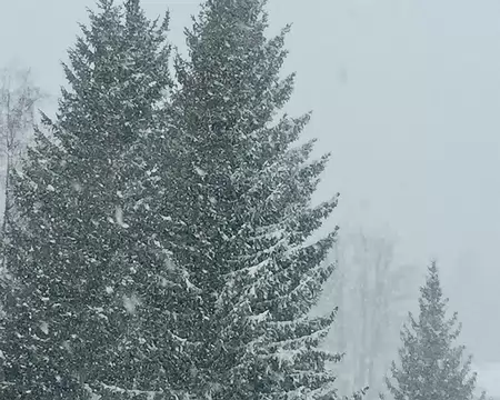 IMG_7364 à l'heure du déjeuner, neige et vent... direction la sièste