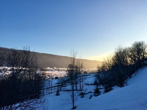 Florence Florence LP, détail sortie